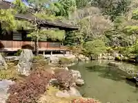 慈照寺(慈照禅寺・銀閣寺)の庭園