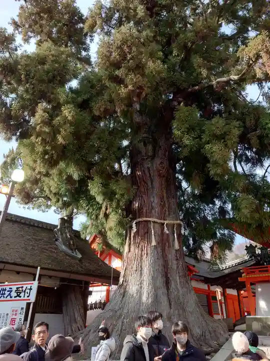 春日大社の自然