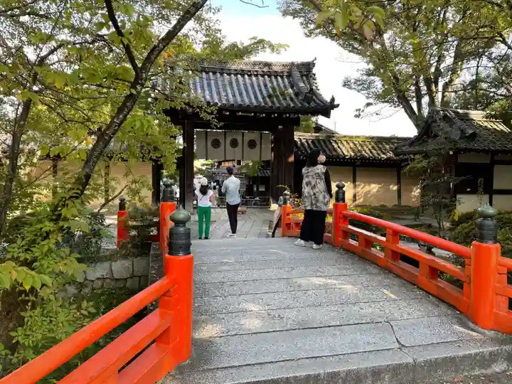 今宮神社(京都府)