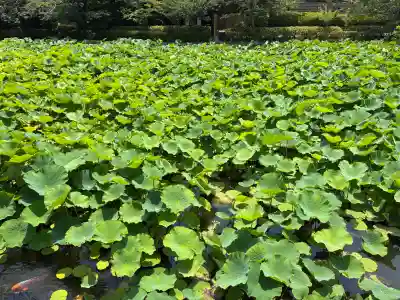 旗上弁財天社(神奈川県)