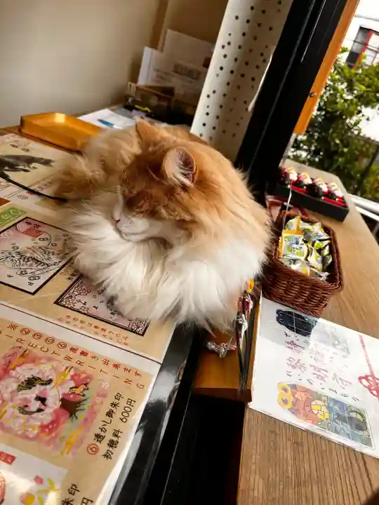 駒込妙義神社の{uncategorized: "未分類", other: "その他", undefined: "問題あり", building: "その他建物", grave: "お墓", sacred_gate: "鳥居", guardian: "狛犬", statue: "像", buddha: "仏像", history: "歴史", nature: "自然", garden: "庭園", animal: "動物", pagoda: "塔", temizu: "手水舎", mountain_gate: "山門・神門", sanctuary: "本殿・本堂", subordinate: "末社・摂社", art: "芸術", scenery: "景色", jizo: "地蔵", ema: "絵馬", goshuin: "御朱印", omikuji: "おみくじ", items: "授与品その他", amulet: "お守り", goshuincho: "御朱印帳", eats: "食事", festival: "お祭り", votive_dance: "神楽", shichigosan: "七五三参", wedding: "結婚式", experience: "体験その他", initially: "初詣", around: "周辺", anti_infection: "感染症対策"}