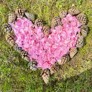 伊達神社(北海道)(2022年05月21日(土) 09時30分18秒投稿)