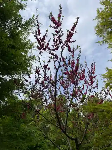 歌泉堂（春日大社神苑萬葉植物園内鎮座）(奈良県)
