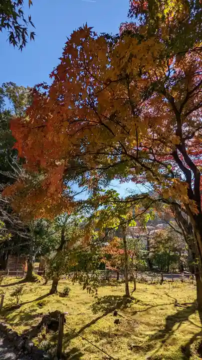 化野念仏寺(京都府)