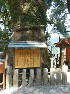 熊野那智大社(和歌山県)