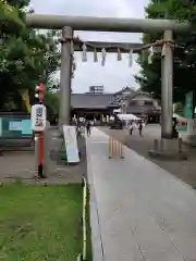 浅草神社の鳥居