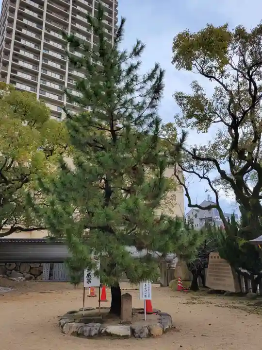 本住吉神社(兵庫県)