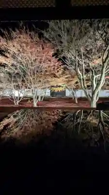 妙覺寺（妙覚寺）(京都府)