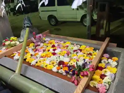 三津厳島神社の手水舎