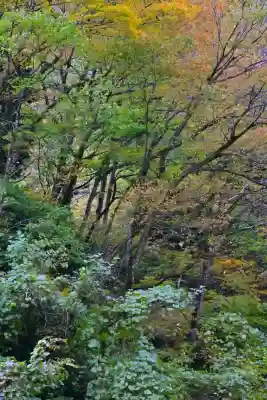 妙龍神社(新潟県)