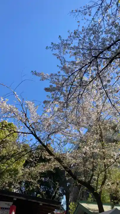 田無神社(東京都)