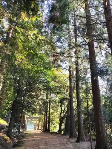 質美八幡宮(京都府)
