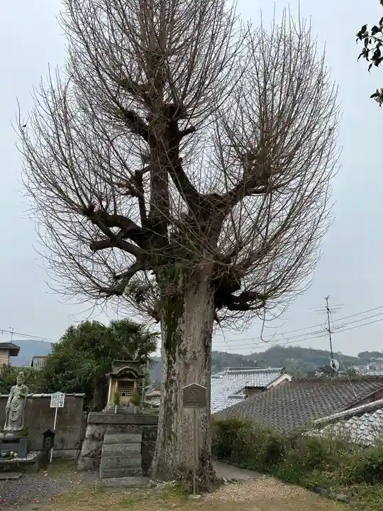 橋寺 放生院(京都府)