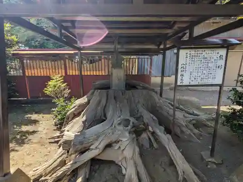 八坂神社(群馬県)