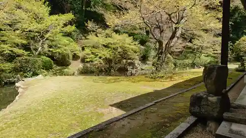 宗隣寺の庭園