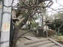 杉本寺(神奈川県)