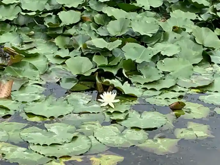 大生郷天満宮の自然