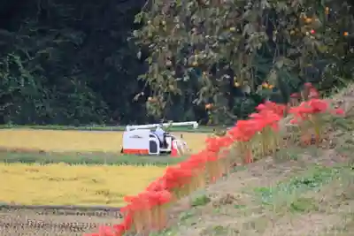鹿島大神宮の周辺