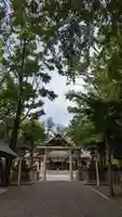 新琴似神社の鳥居