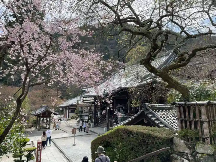 善峯寺(京都府)