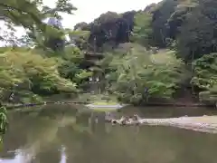 浄瑠璃寺の庭園