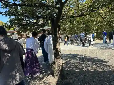 田縣神社の庭園