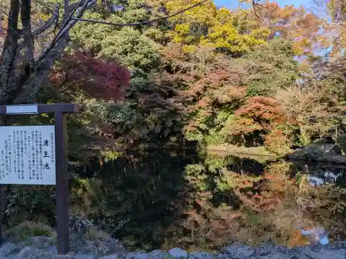 富士山本宮浅間大社(静岡県)