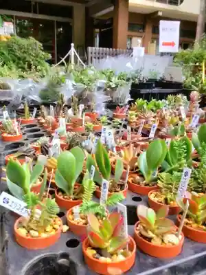 阿佐ヶ谷神明宮(東京都)