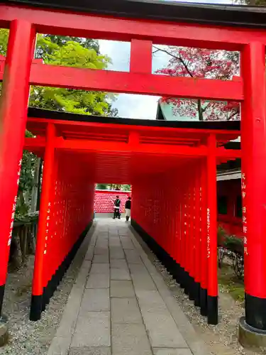 三光稲荷神社の鳥居