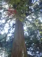 賀茂原神社(愛知県)