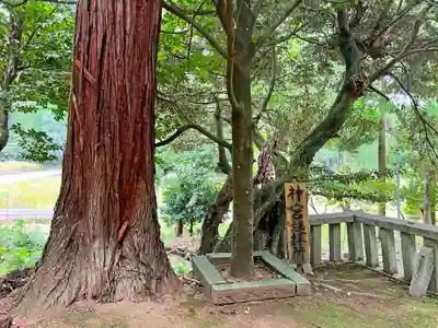 阿奈志神社(福井県)
