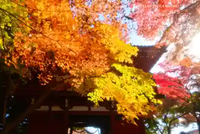 本土寺(千葉県)