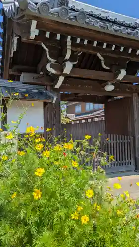 法然寺(京都府)