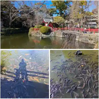 三嶋大社(静岡県)