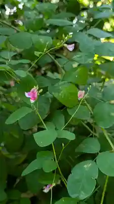 梨木神社(京都府)