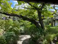 妙徳寺(京都府)