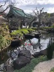 長谷寺の庭園