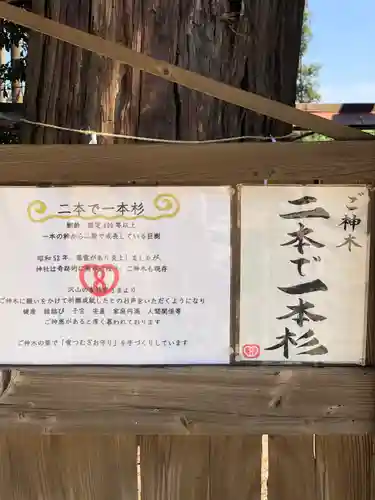 鹿嶋三嶋神社の歴史