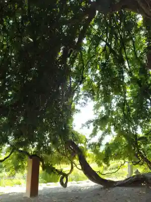 深山神社(福島県)