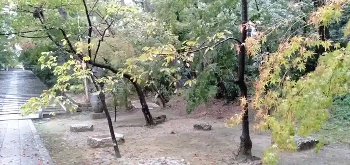 光明寺(粟生光明寺)の庭園