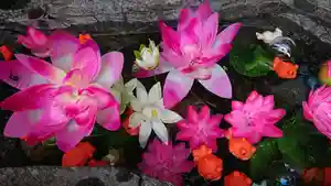 三輪神社の手水舎(2021年08月12日(木) 09時53分25秒投稿)