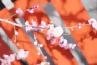 瀧宮神社(広島県)