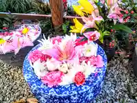 埼玉厄除け開運大師・龍泉寺(切り絵御朱印発祥の寺)(埼玉県)