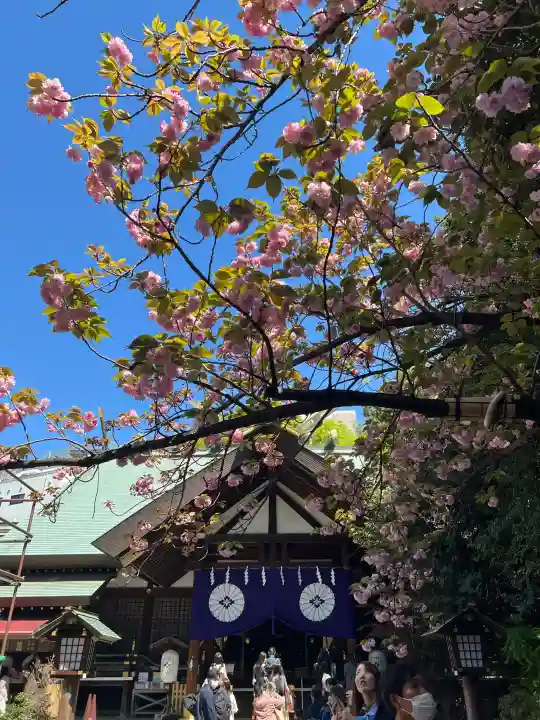 東京大神宮の{uncategorized: "未分類", other: "その他", undefined: "問題あり", building: "その他建物", grave: "お墓", sacred_gate: "鳥居", guardian: "狛犬", statue: "像", buddha: "仏像", history: "歴史", nature: "自然", garden: "庭園", animal: "動物", pagoda: "塔", temizu: "手水舎", mountain_gate: "山門・神門", sanctuary: "本殿・本堂", subordinate: "末社・摂社", art: "芸術", scenery: "景色", jizo: "地蔵", ema: "絵馬", goshuin: "御朱印", omikuji: "おみくじ", items: "授与品その他", amulet: "お守り", goshuincho: "御朱印帳", eats: "食事", festival: "お祭り", votive_dance: "神楽", shichigosan: "七五三参", wedding: "結婚式", experience: "体験その他", initially: "初詣", around: "周辺", anti_infection: "感染症対策"}
