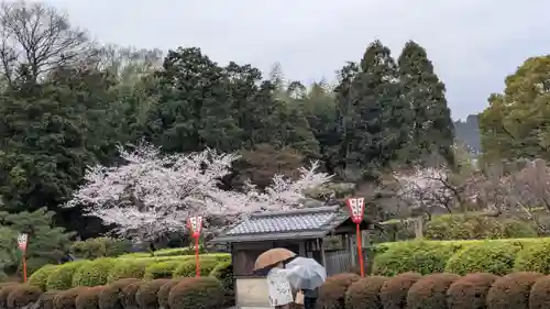 隨心院（随心院）(京都府)