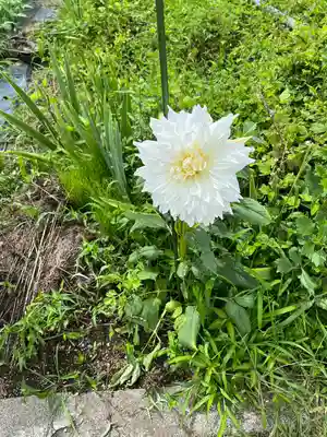 淺間神社（忍野八海）(山梨県)