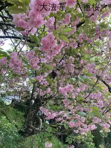 国宝 大法寺(長野県)