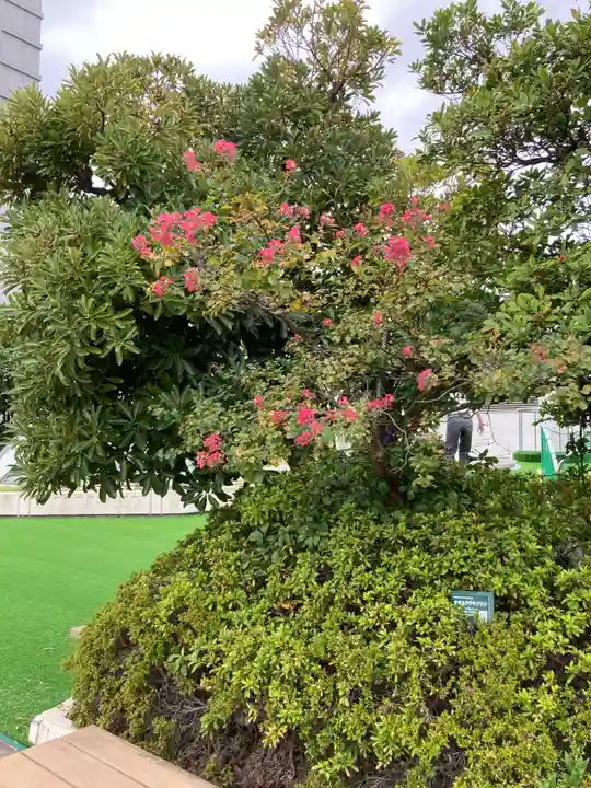 稲荷大明神(そごう横浜店・屋上)(神奈川県)