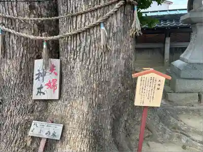 竹鼻八剱神社(八剣神社)(岐阜県)