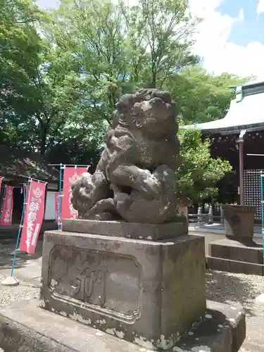 新曽氷川神社の狛犬